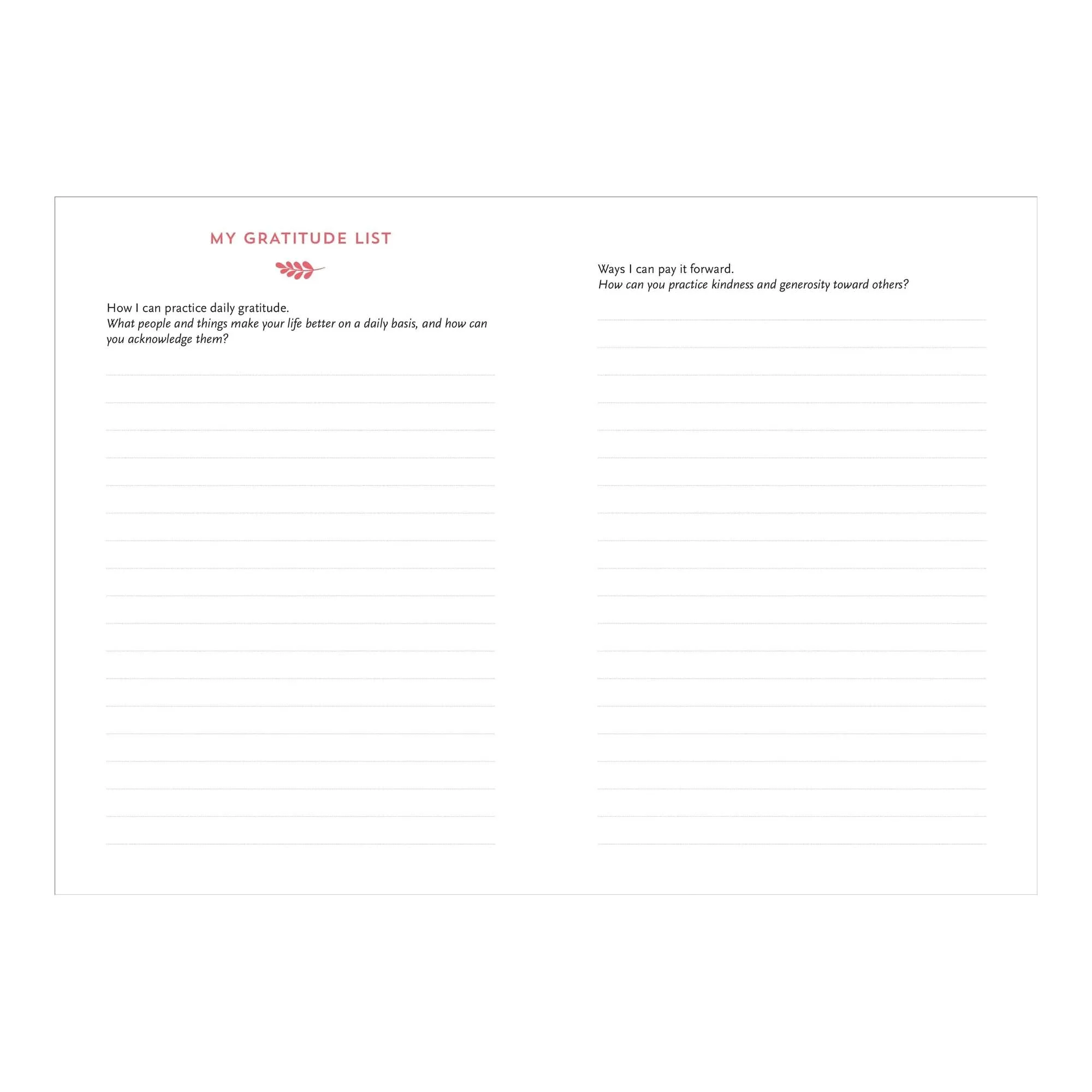 A Daily Dose of Gratitude Journal