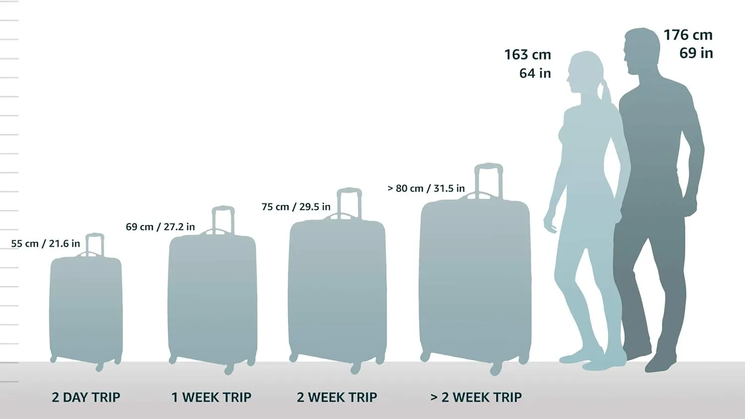DELSEY PARIS Titanium Hardside Expandable Luggage with Spinner Wheels, Black, Carry-On 19 Inch