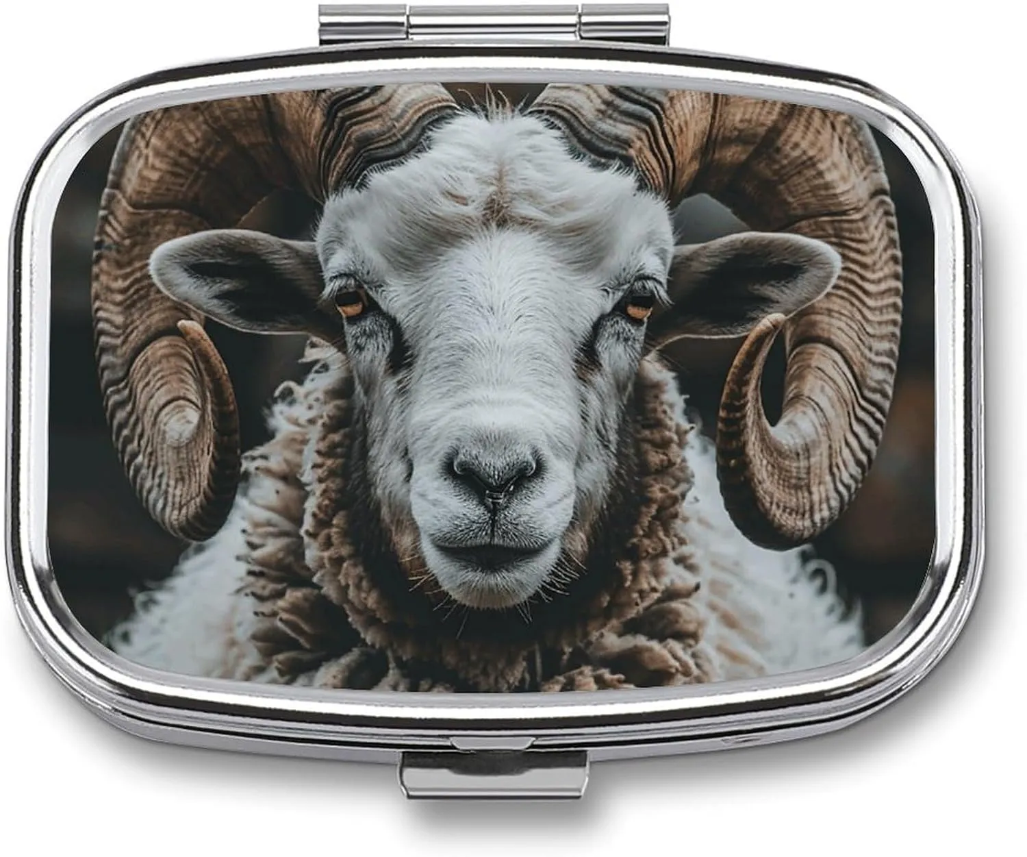 Longhorn Ram Pictures Travel Pill Organizer A Daily Pill Box for Supplements 2 Compartment Pill Case Convenient for Carrying and Storing Medicines Box