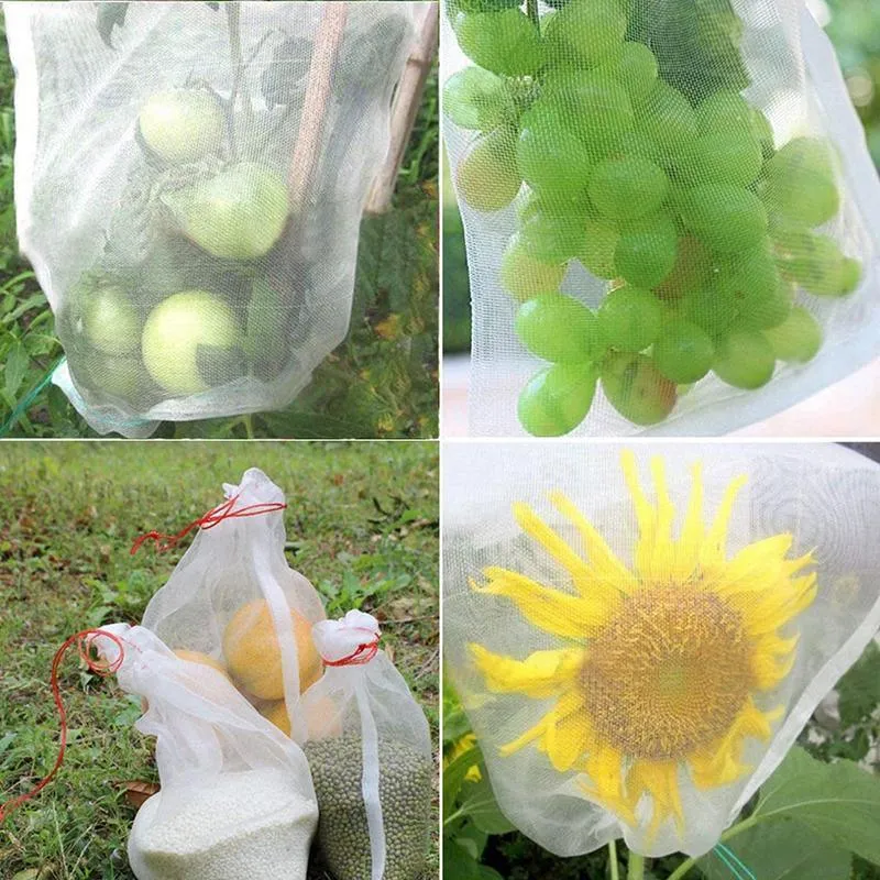 PE Fruit Protection Bags 50-100 PCS 6 Sizes White
